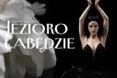 "Jezioro Łabędzie" - Ukrainian Classical Ballet