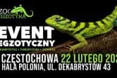 ZooEgzotyka